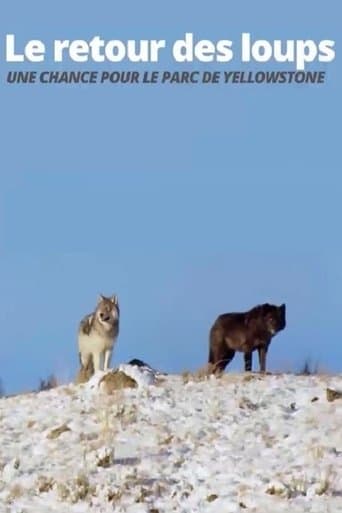 The Return of the Wolves: The Miracle in Yellowstone National Park (2017) poster