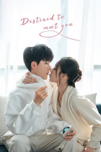 Destined to Meet You (2022) poster