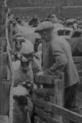 Blackfaced Sheep (1946) poster