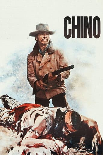 The Valdez Horses (1973) poster