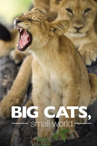 Big Cats, Small World (2024) poster