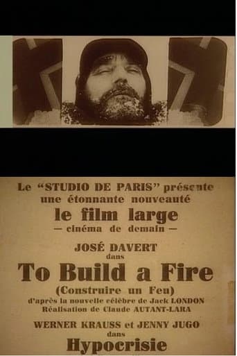 To Build a Fire (1928) poster