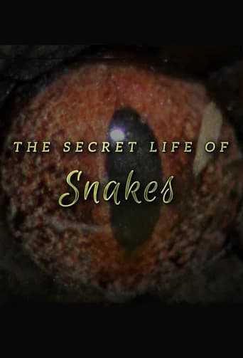 The Secret Life of Snakes (2016) poster
