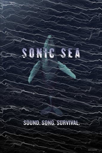 Sonic Sea (2016) poster