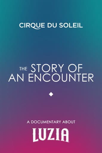 The Story Of An Encounter (2016) poster