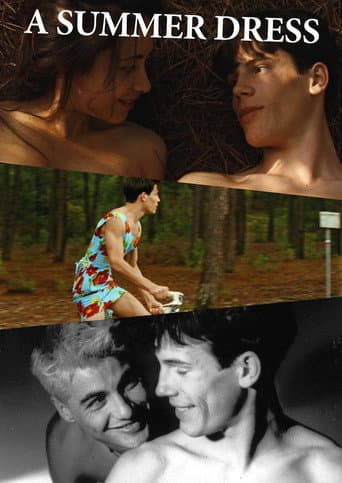 A Summer Dress (1996) poster