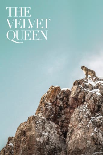 The Velvet Queen (2021) poster