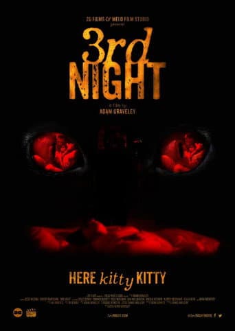 3rd Night (2017) poster