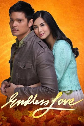 Endless Love (2010) poster