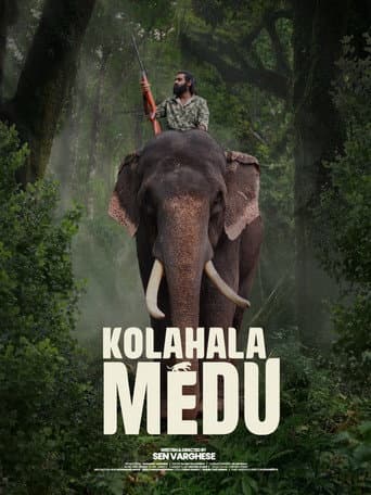 Kolahalamedu (2026) poster