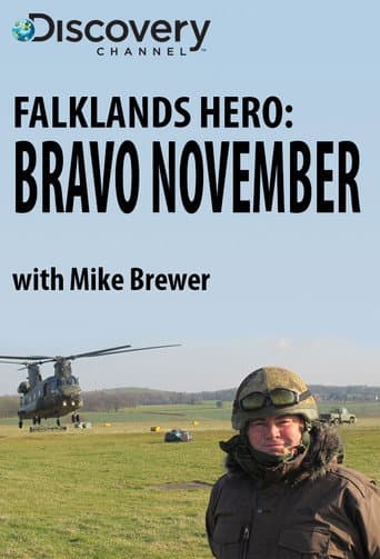 Falklands Hero: Bravo November (2012) poster