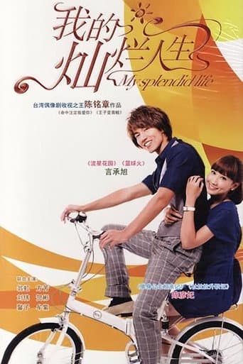 My Splendid Life (2011) poster