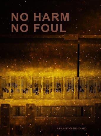 No Harm No Foul (2017) poster