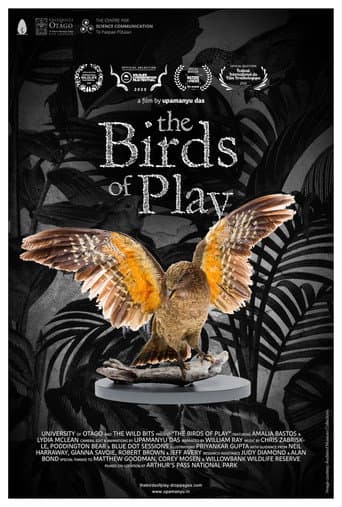 The Birds of Play (2019) poster