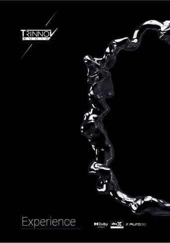 Experience (2025) poster