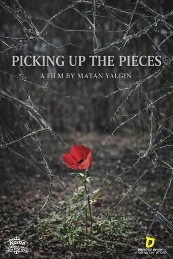 Picking Up the Pieces (2024) poster