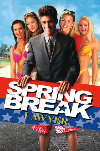Spring Break Lawyer (2001) poster