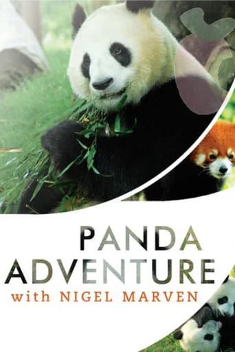 Panda Adventure with Nigel Marven (2011) poster