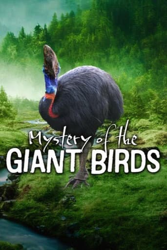 Mystery of the Giant Birds (2025) poster