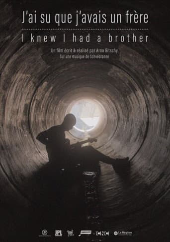 I Knew I had a Brother (2025) poster