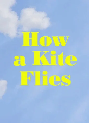 How a Kite Flies (2017) poster