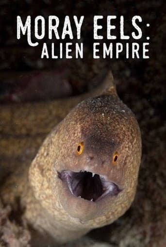 Moray Eels: Alien Empire (2008) poster