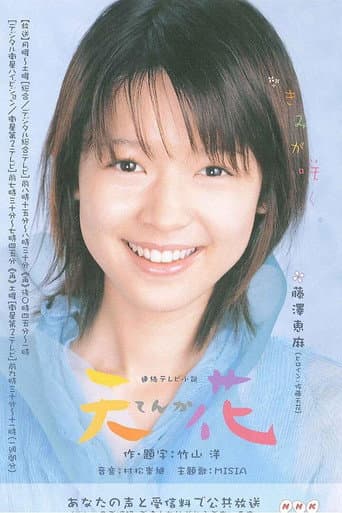 Tenka (2004) poster