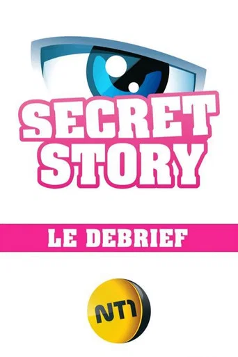 Secret Story - Le Débrief (2015) poster