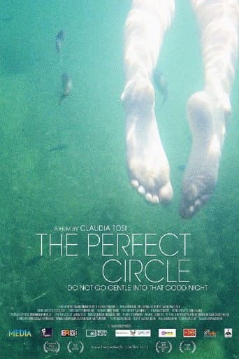 The Perfect Circle (2013) poster