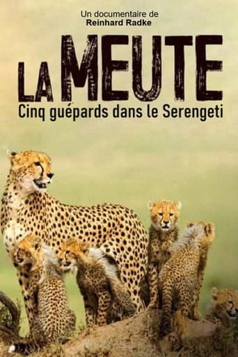 Die fünf Geparde - Gemeinsam durch die Serengeti (2019) poster