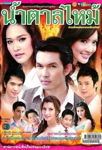 Burnt Sugar (2009) poster