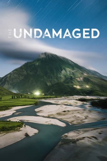 The Undamaged (2018) poster