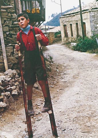 The Flea (1990) poster