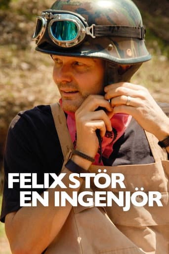 Felix stör en ingenjör (2010) poster