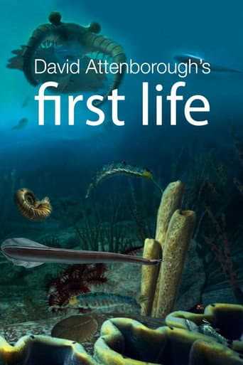First Life (2010) poster