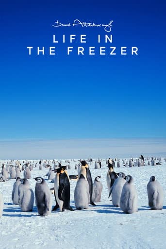 Life in the Freezer (1993) poster