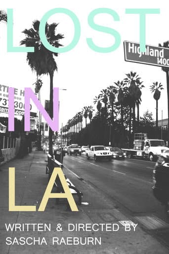 Lost in LA (2013) poster