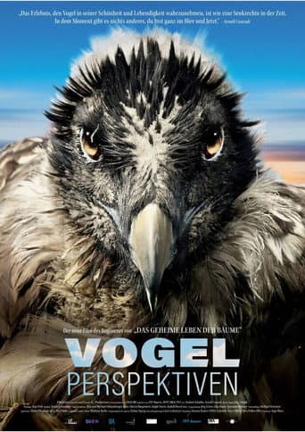 Bird's Eyeview (2022) poster