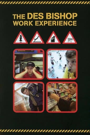 The Des Bishop Work Experience (2004) poster