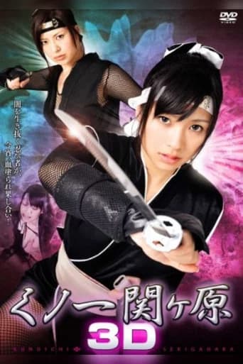 Kunoichi Sekigahara 3D (2010) poster
