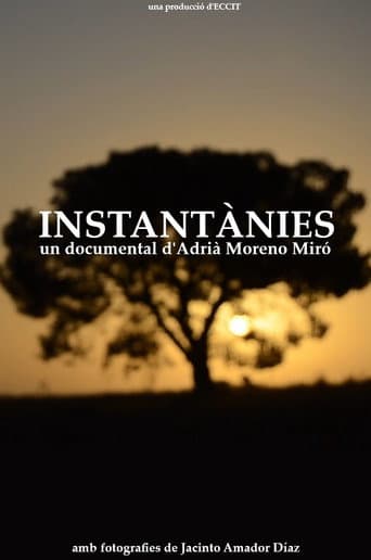 Instantànies (2025) poster