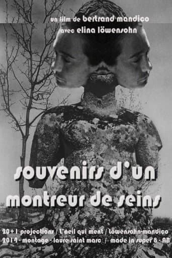 Memories of a Boobs Flasher (2014) poster