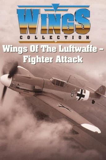 Wings of the Luftwaffe (1992) poster