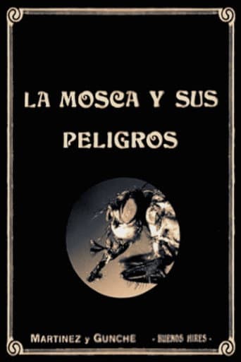 The Dangers of the Fly (1920) poster