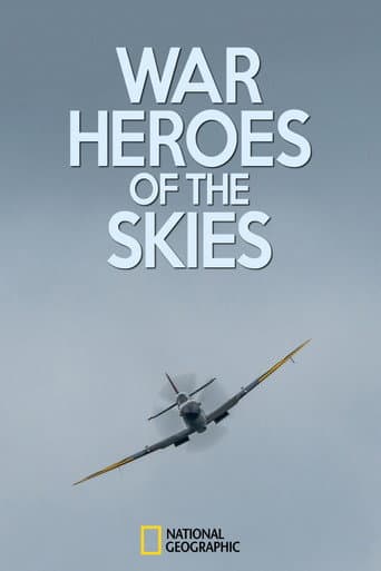 War Heroes of the Skies (2013) poster