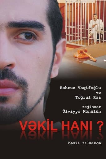 Where Is The Lawyer? (2011) poster