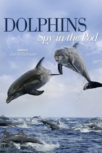 Dolphins: Spy in the Pod (2014) poster