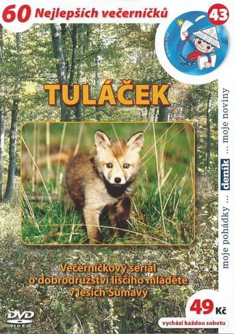 Tuláček (1997) poster