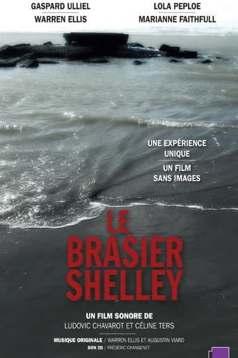 Shelley's Blaze (2018) poster