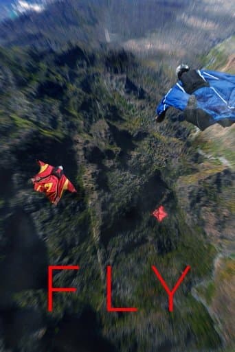Fly (2024) poster